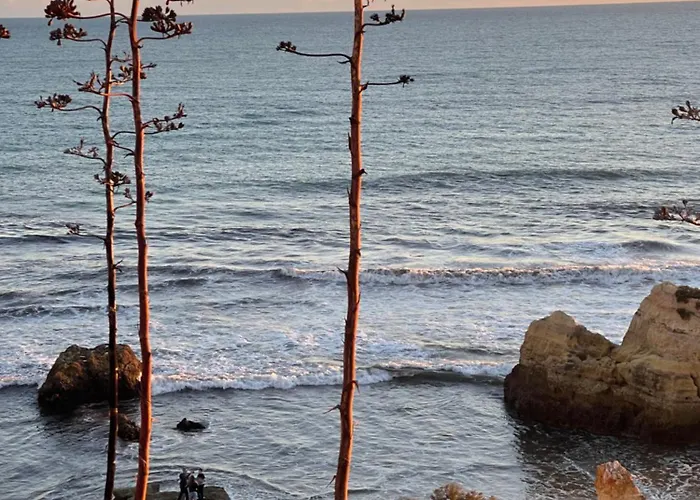 Apartamento Da Avo Te - Em Frente A Praia C Piscina