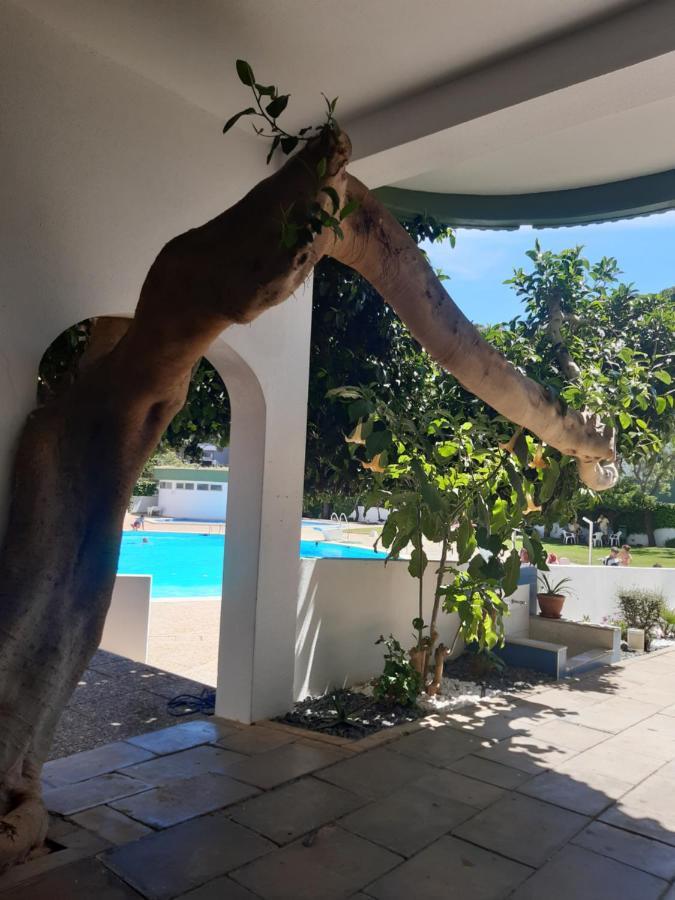 Da Avo Te - Em Frente A C Piscina Apartment