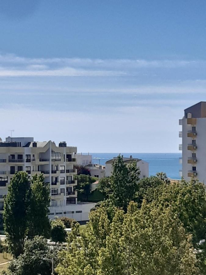 Apartamento Da Avo Te - Em Frente A C Piscina *
